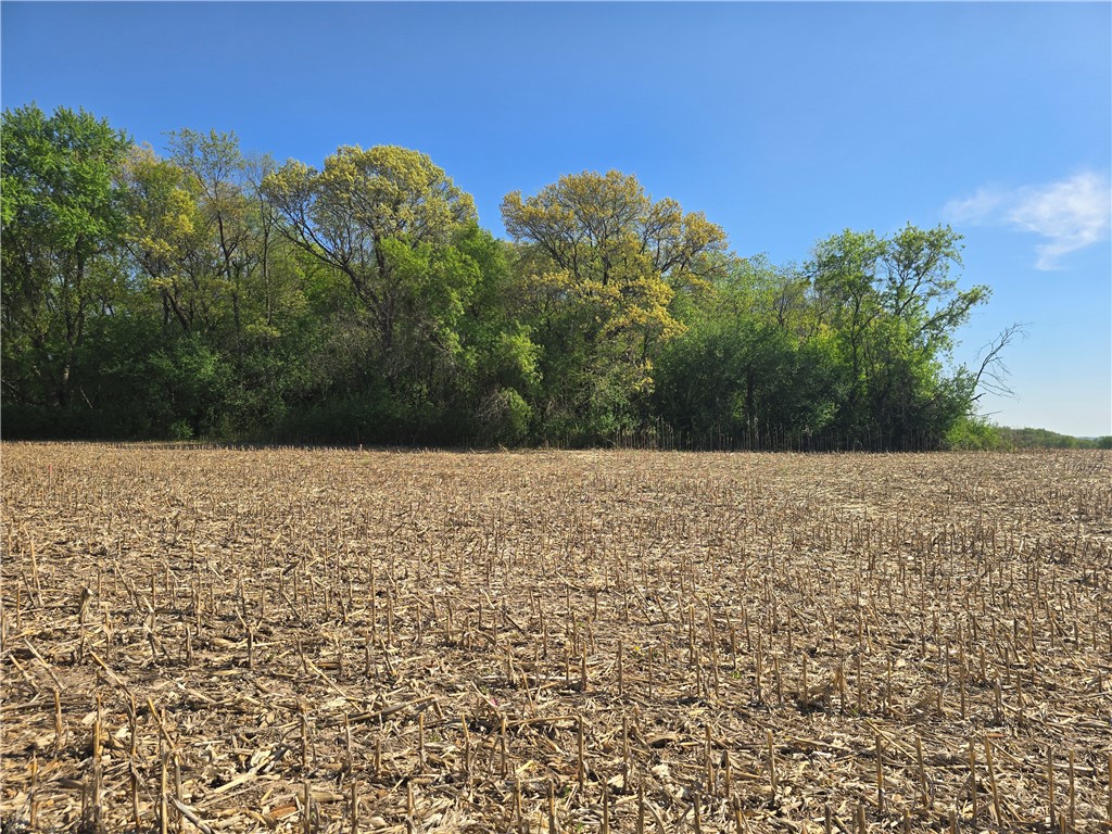 Lot 41 Roma Street Eau Claire WI 54701 1591544 image4