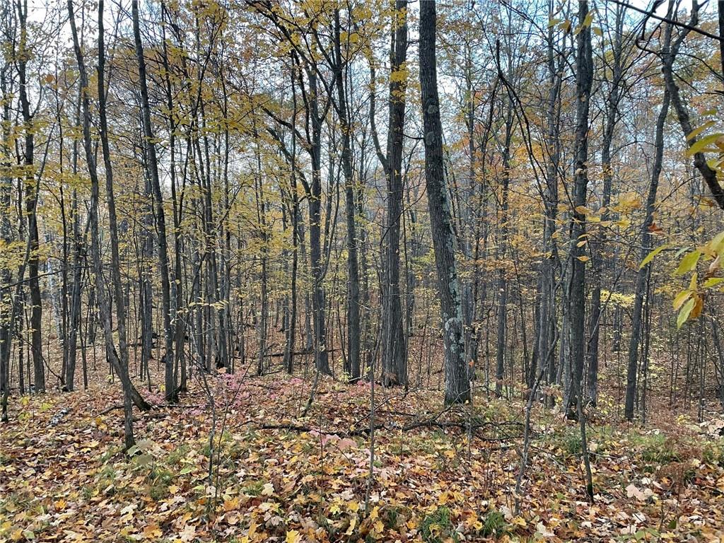 Lot 42 Off Birken Trail Road Hayward WI 54843 1571982 image1