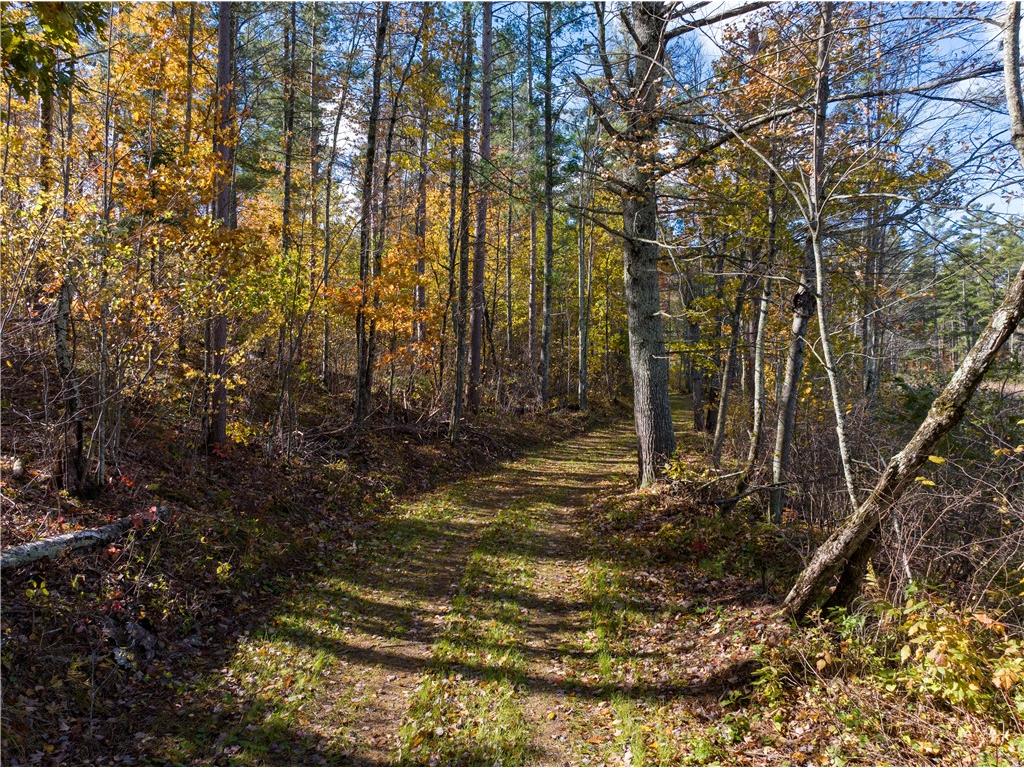 Lot 42 Ursa Road Hayward WI 54843 1587849 image26