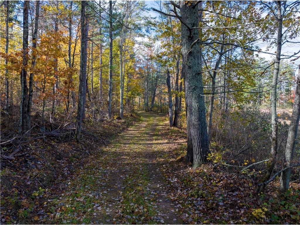 Lot 42 Ursa Road Hayward WI 54843 1587849 image27