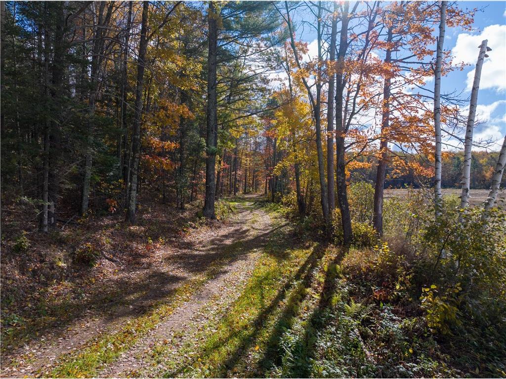 Lot 42 Ursa Road Hayward WI 54843 1587849 image29