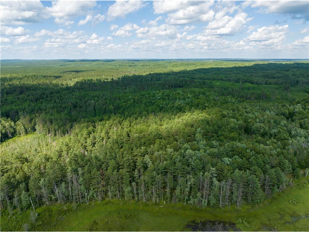 Lot 42 Ursa Road Hayward WI 54843 1587849 image34