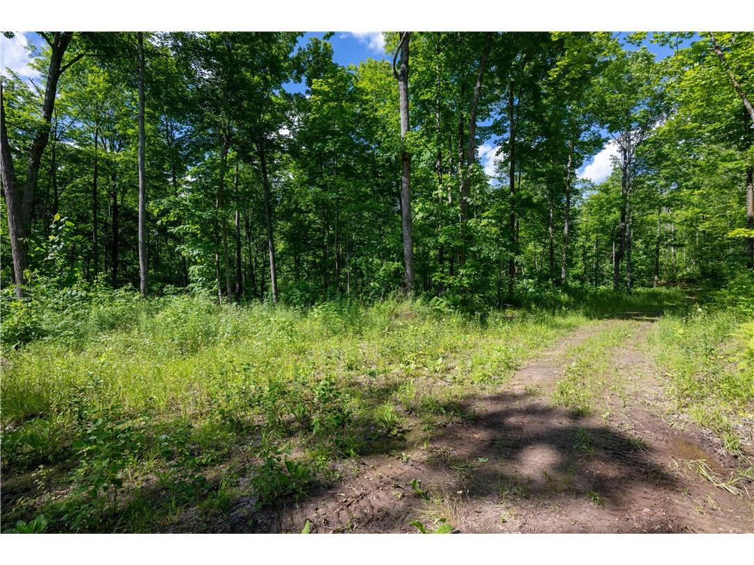 Lot 42 Ursa Road Hayward WI 54843 1587849 image38