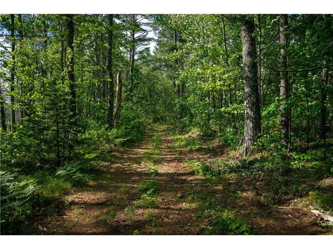 Lot 42 Ursa Road Hayward WI 54843 1587849 image39