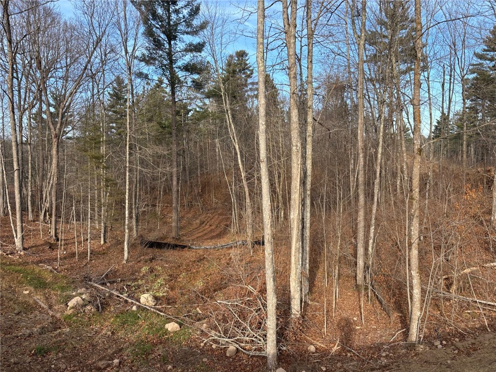 Lot 42 Ursa Road Hayward WI 54843 1587849 image4