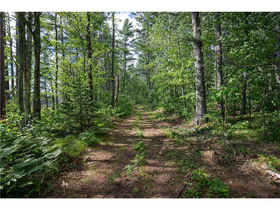 Lot 42 Ursa Road Hayward WI 54843 1587849 image40