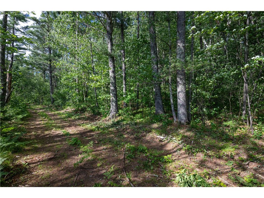 Lot 42 Ursa Road Hayward WI 54843 1587849 image41
