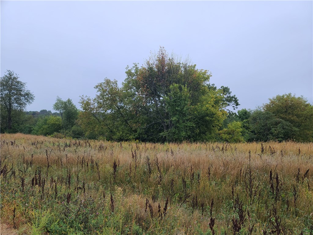 Lot 43 557th Street Menomonie WI 54751 1544787 image1