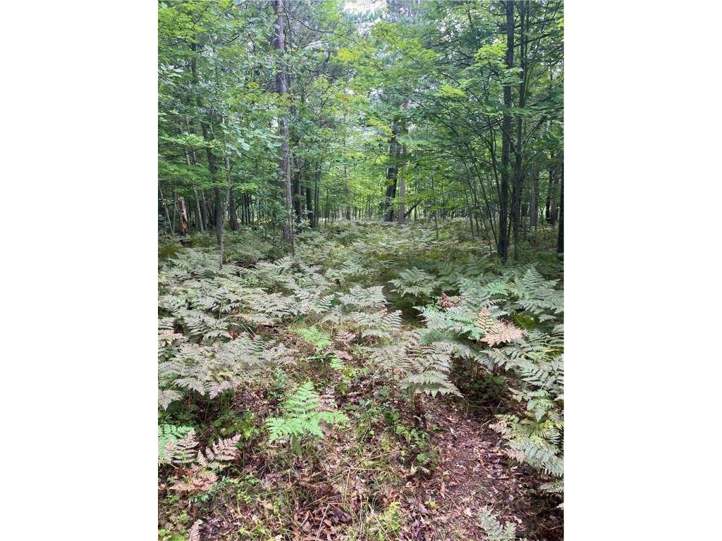 Lot 43 Deerpath Trail Way Danbury WI 54830 - Culbertson 1594856 image1