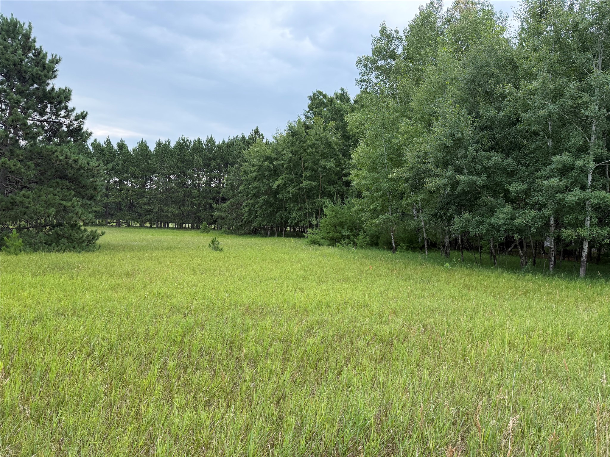 Lot 43 Hanscom Lake Trail Way Danbury WI 54830 1603573 image3