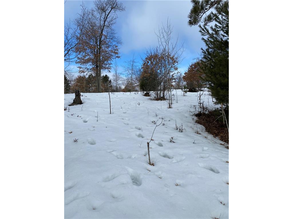 Lot 43 Treasure Island Drive Danbury WI 54830 1562338 image1