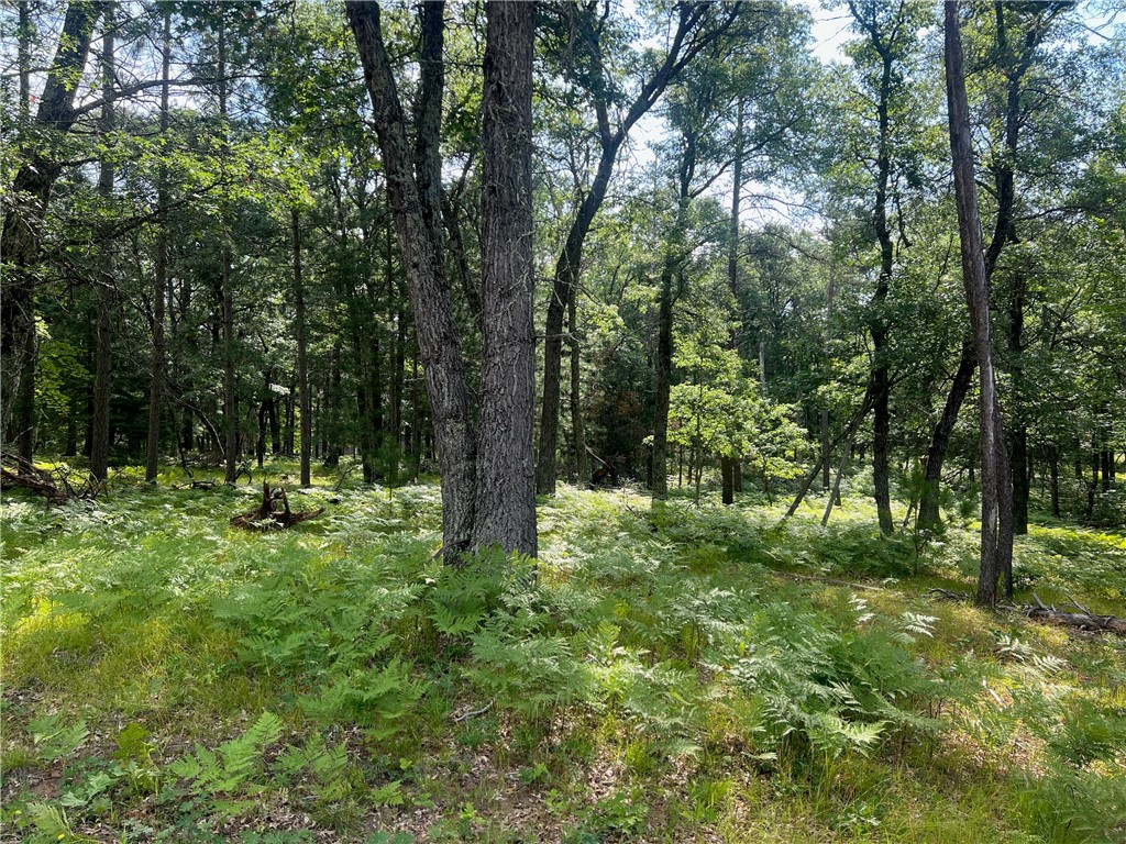 Lot 44 Morning Star Lane Danbury WI 54830 1596979 image14