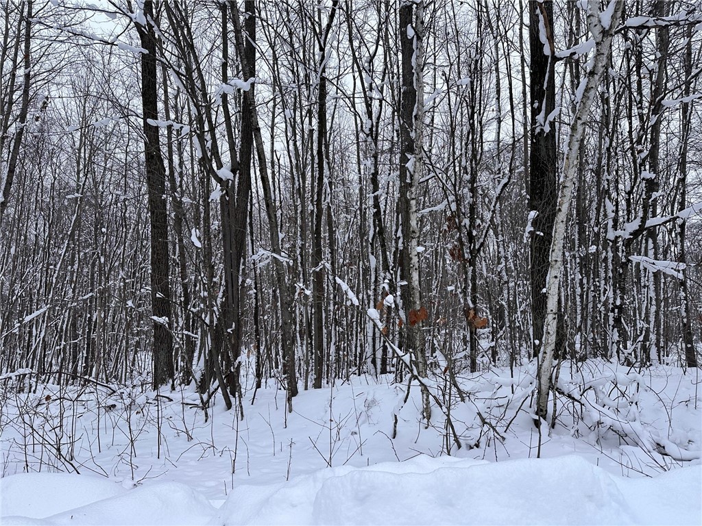 Lot 46 Holly Lake Lane Stone Lake WI 54876 - Upper Holly 1597716 image1