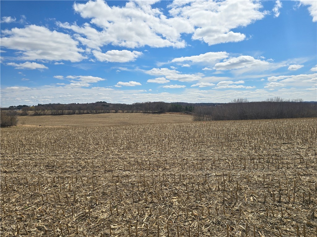 Lot 48 Roma Street Eau Claire WI 54701 1591552 image1