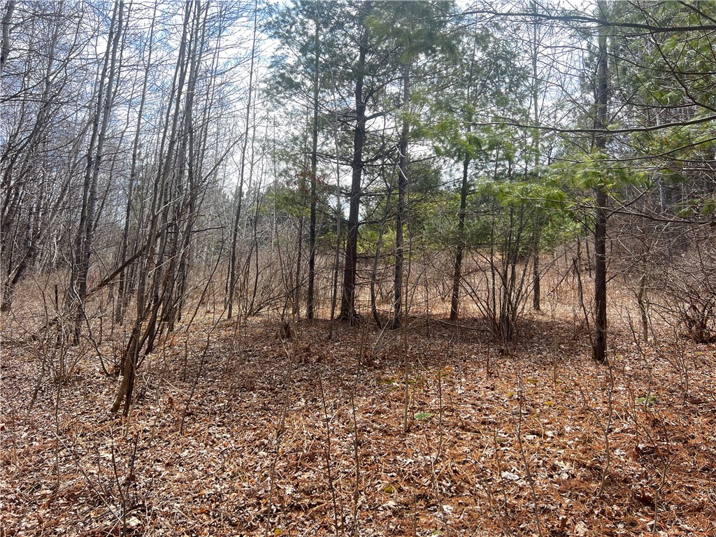 Lot 5 3 1/4 5th Street Cumberland WI 54829 1590407 image1