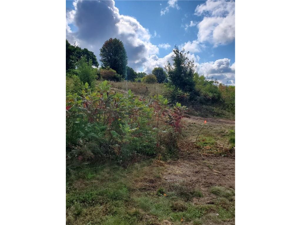 Lot 5 34th Avenue Chippewa Falls WI 54729 1595400 image1