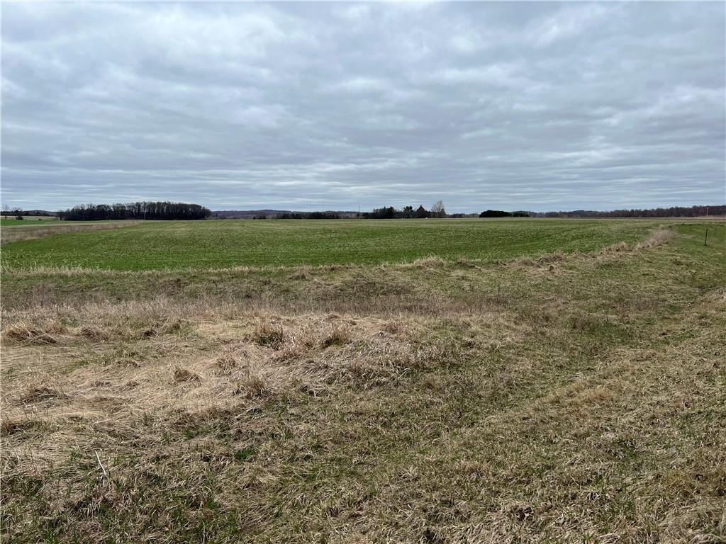 Lot 5 525th Avenue Elk Mound WI 54739 1563710 image1