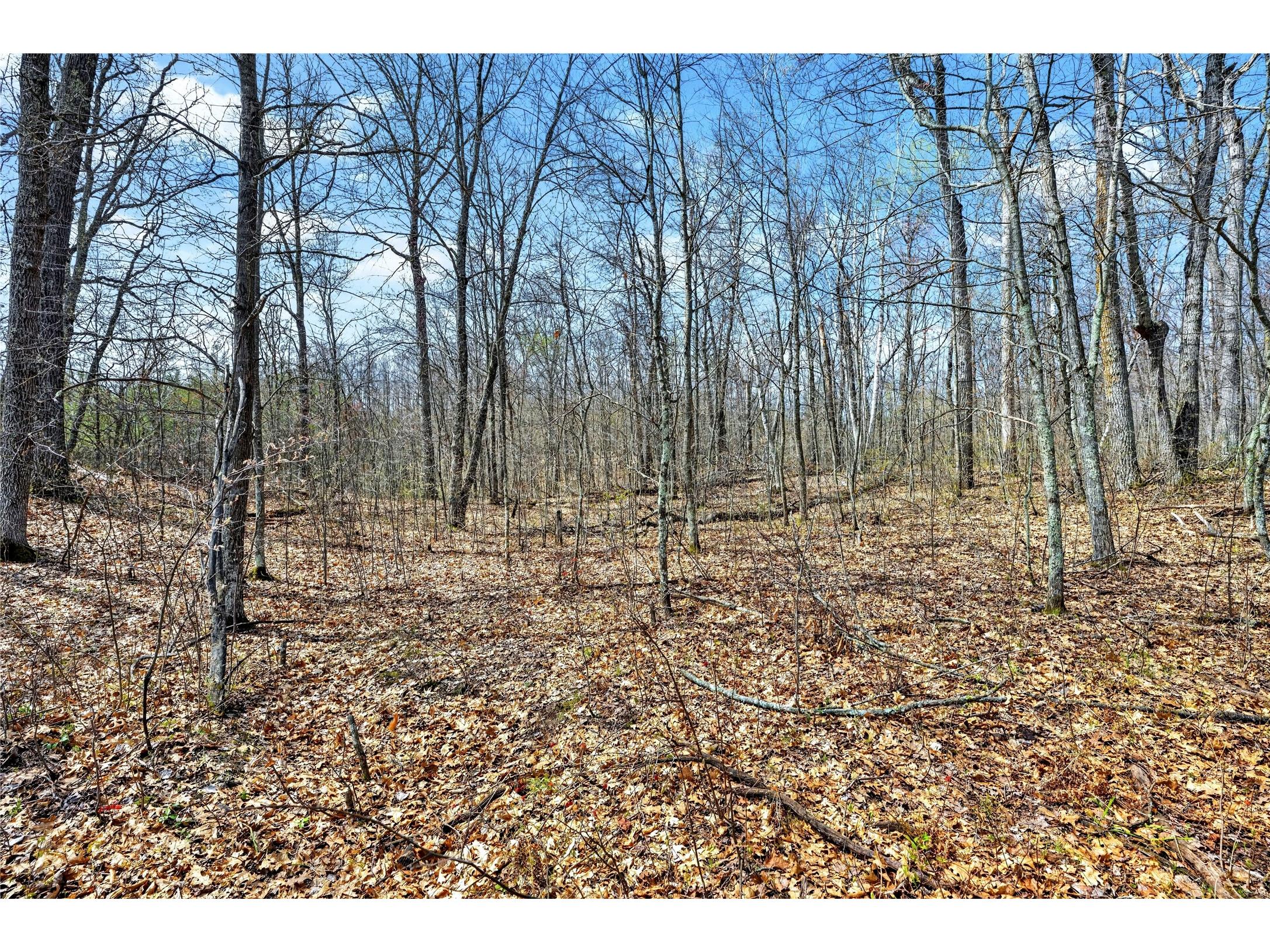Lot 5 & 6 Peterson Road Wascott WI 54859 - Crotty 1601100 image13