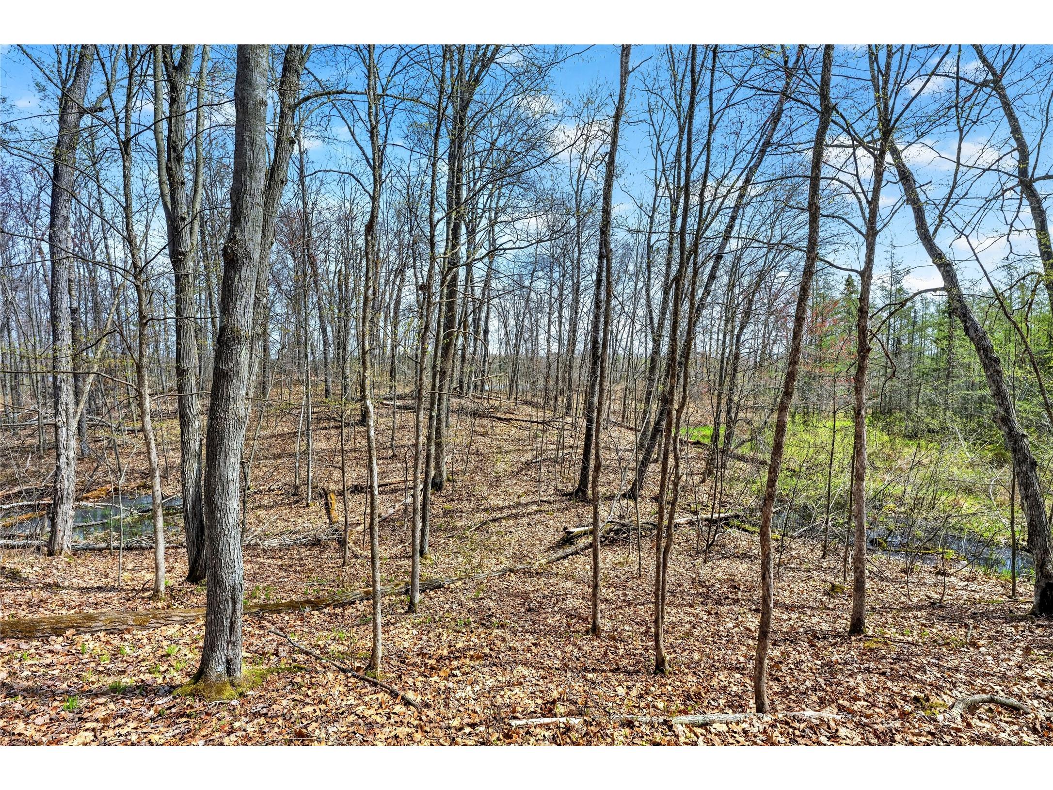 Lot 5 & 6 Peterson Road Wascott WI 54859 - Crotty 1601100 image7