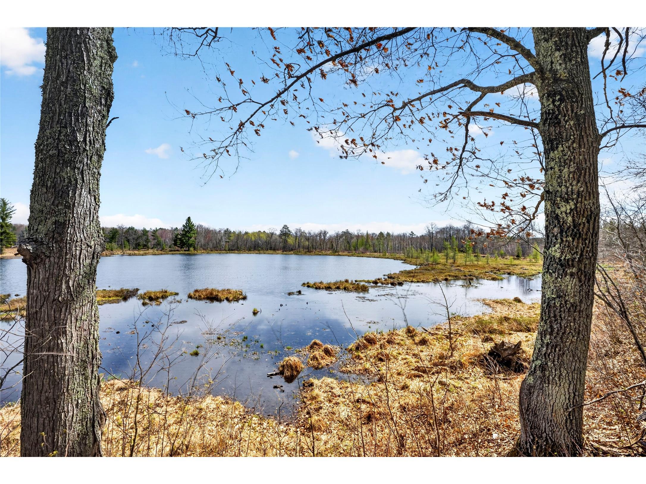 Lot 5 & 6 Peterson Road Wascott WI 54859 - Crotty 1601100 image8