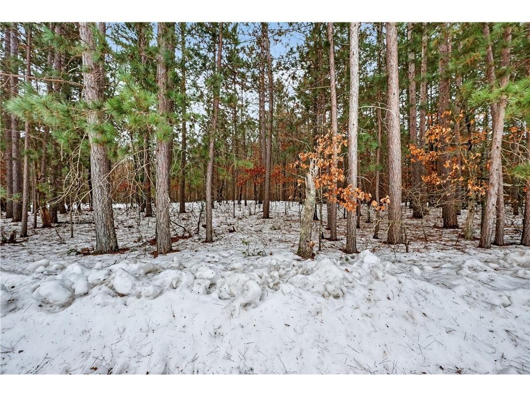 Lot 5 Bald Eagle Drive Trego WI 54888 1598743 image1