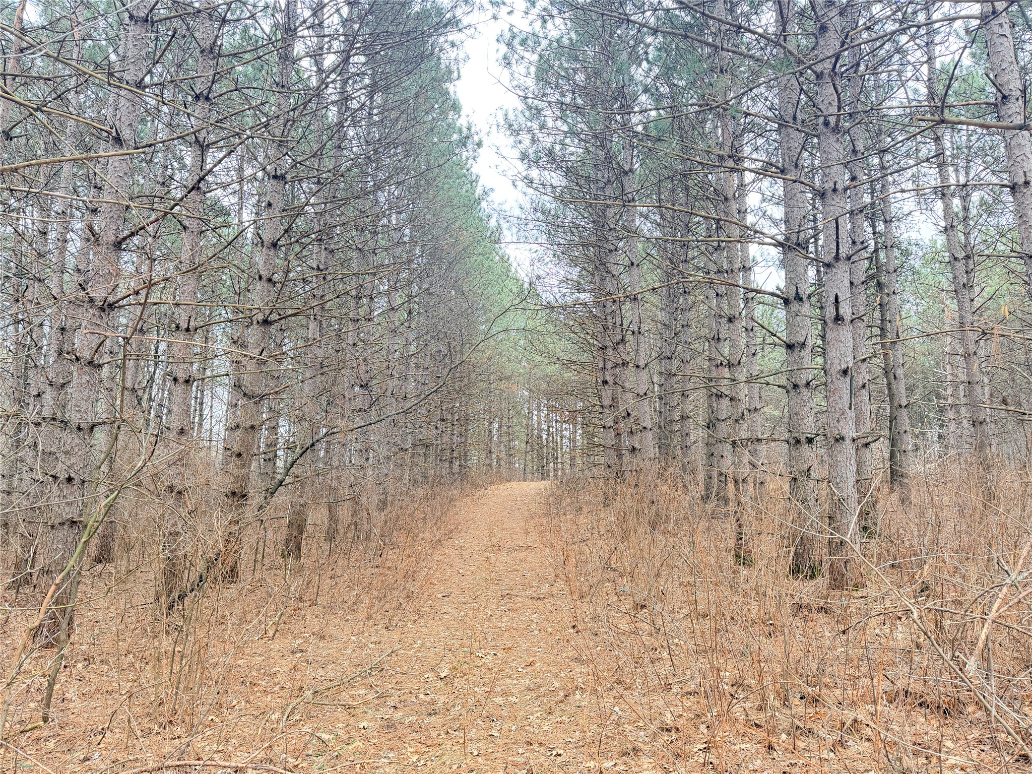 Lot 5 Big Lake Drive Osceola WI 54020 - 36-14 1599514 image10