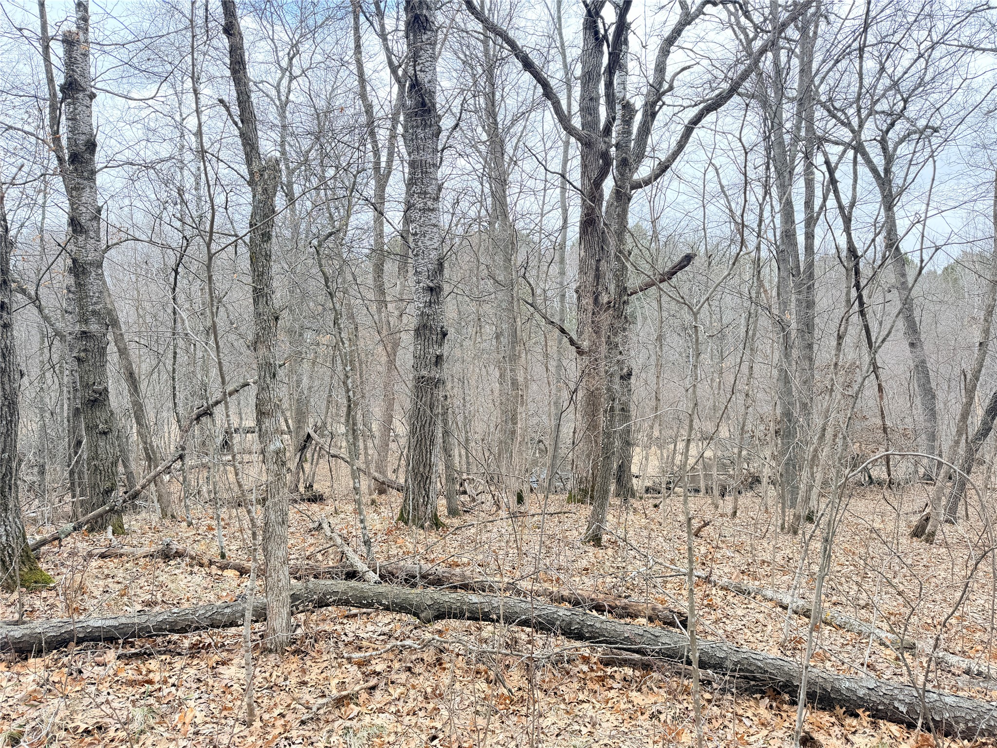 Lot 5 Big Lake Drive Osceola WI 54020 - 36-14 1599514 image11