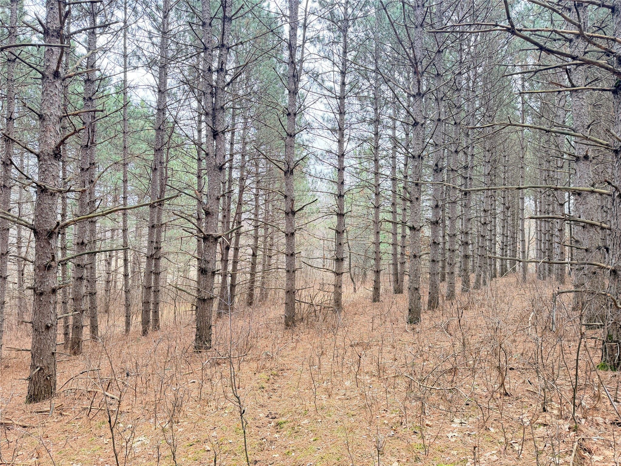 Lot 5 Big Lake Drive Osceola WI 54020 - 36-14 1599514 image12