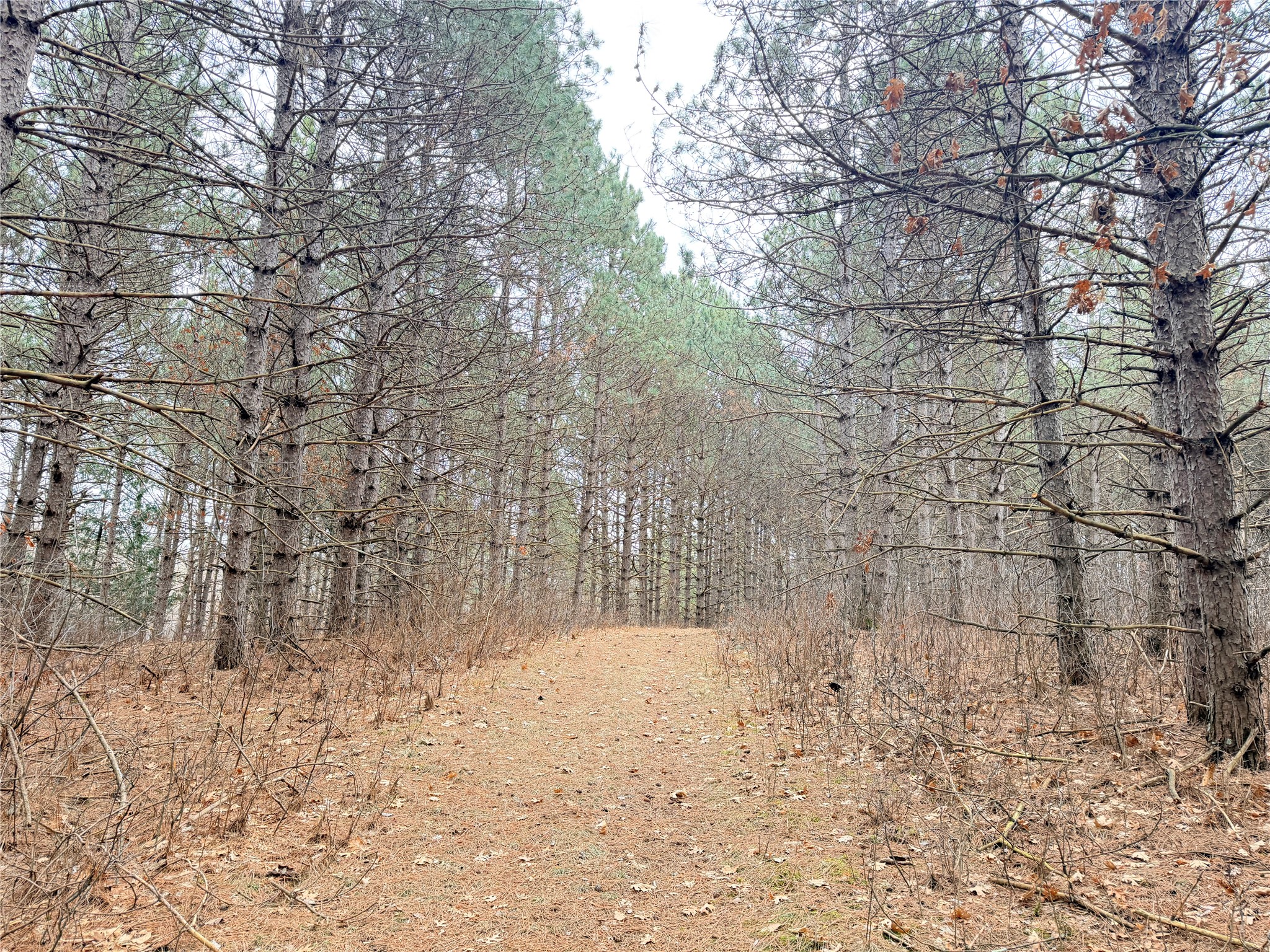 Lot 5 Big Lake Drive Osceola WI 54020 - 36-14 1599514 image13