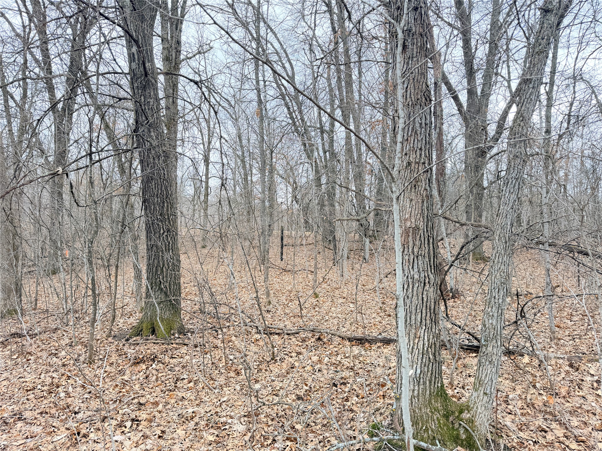 Lot 5 Big Lake Drive Osceola WI 54020 - 36-14 1599514 image14