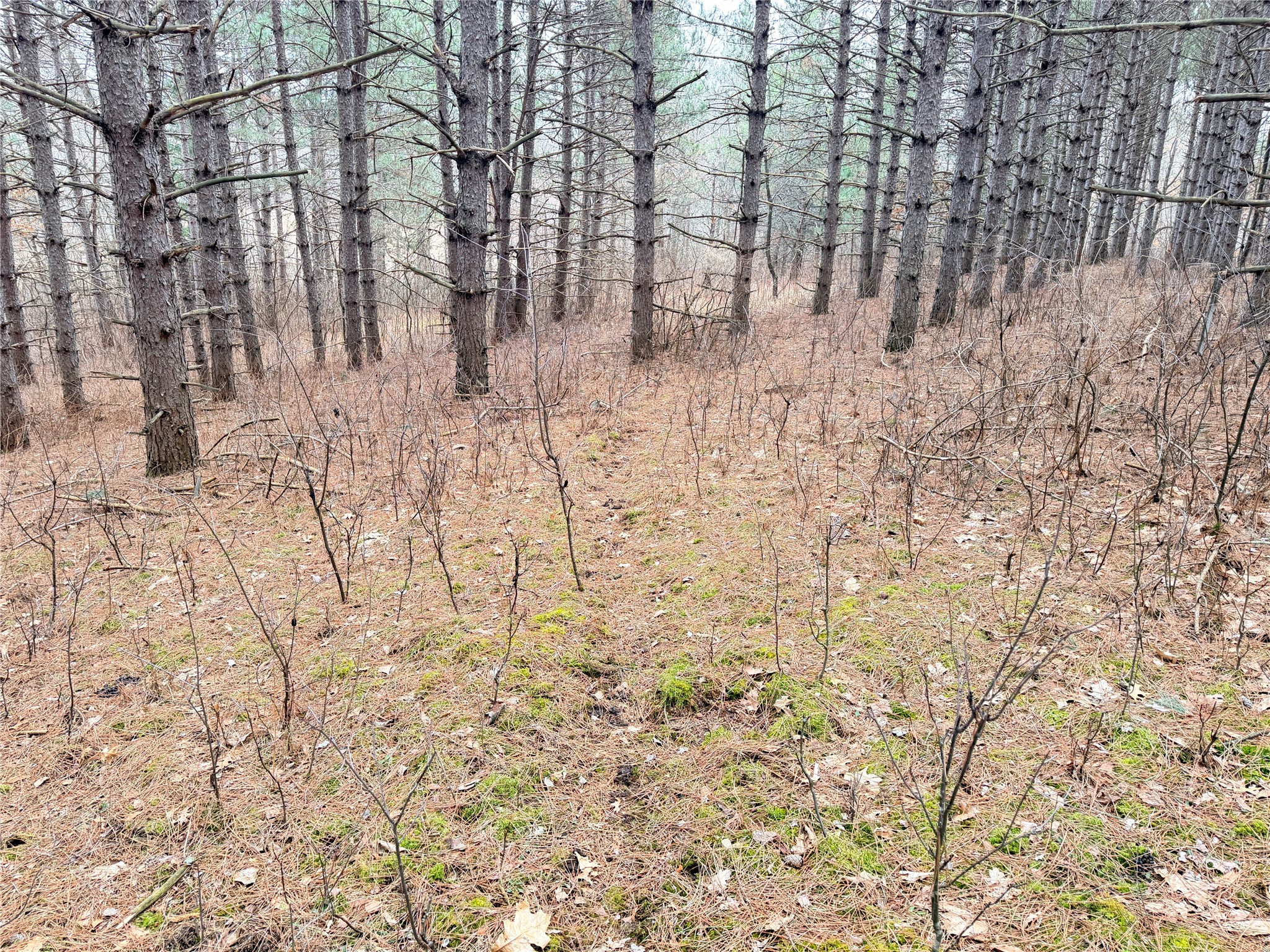 Lot 5 Big Lake Drive Osceola WI 54020 - 36-14 1599514 image15