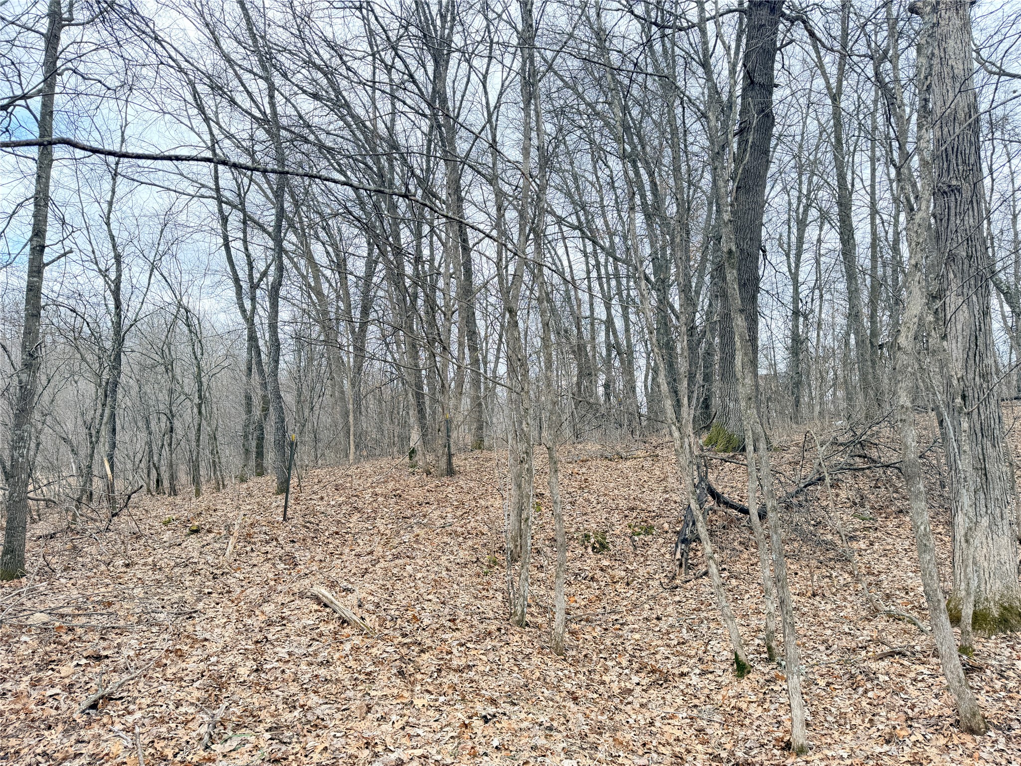 Lot 5 Big Lake Drive Osceola WI 54020 - 36-14 1599514 image16