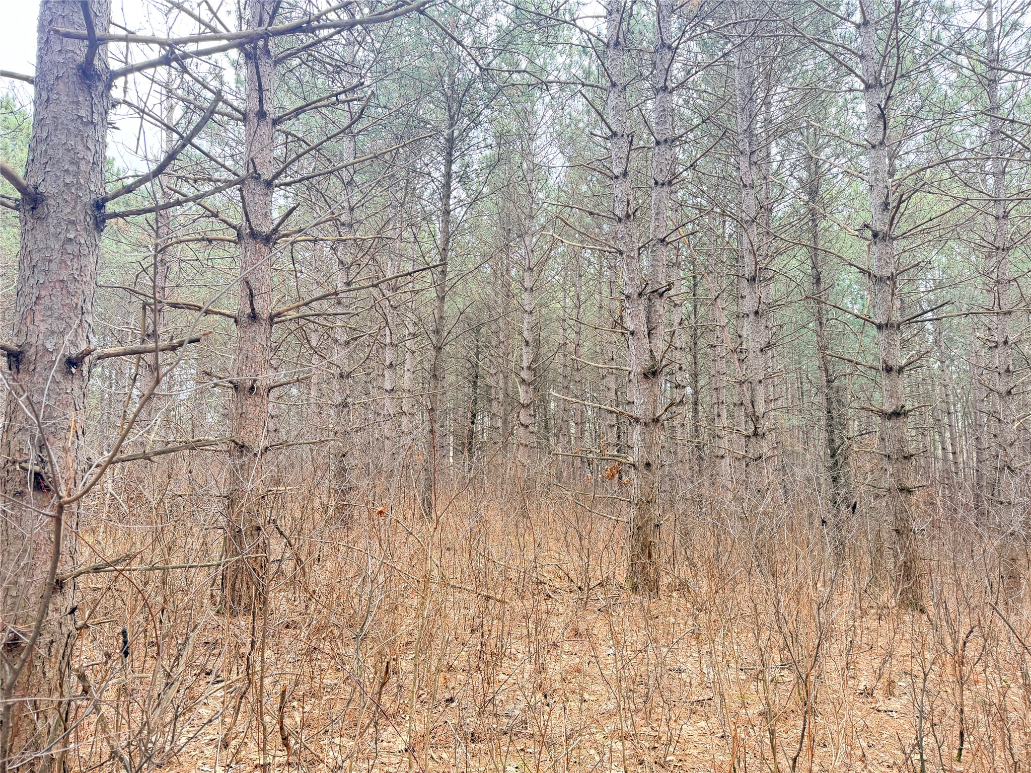 Lot 5 Big Lake Drive Osceola WI 54020 - 36-14 1599514 image17