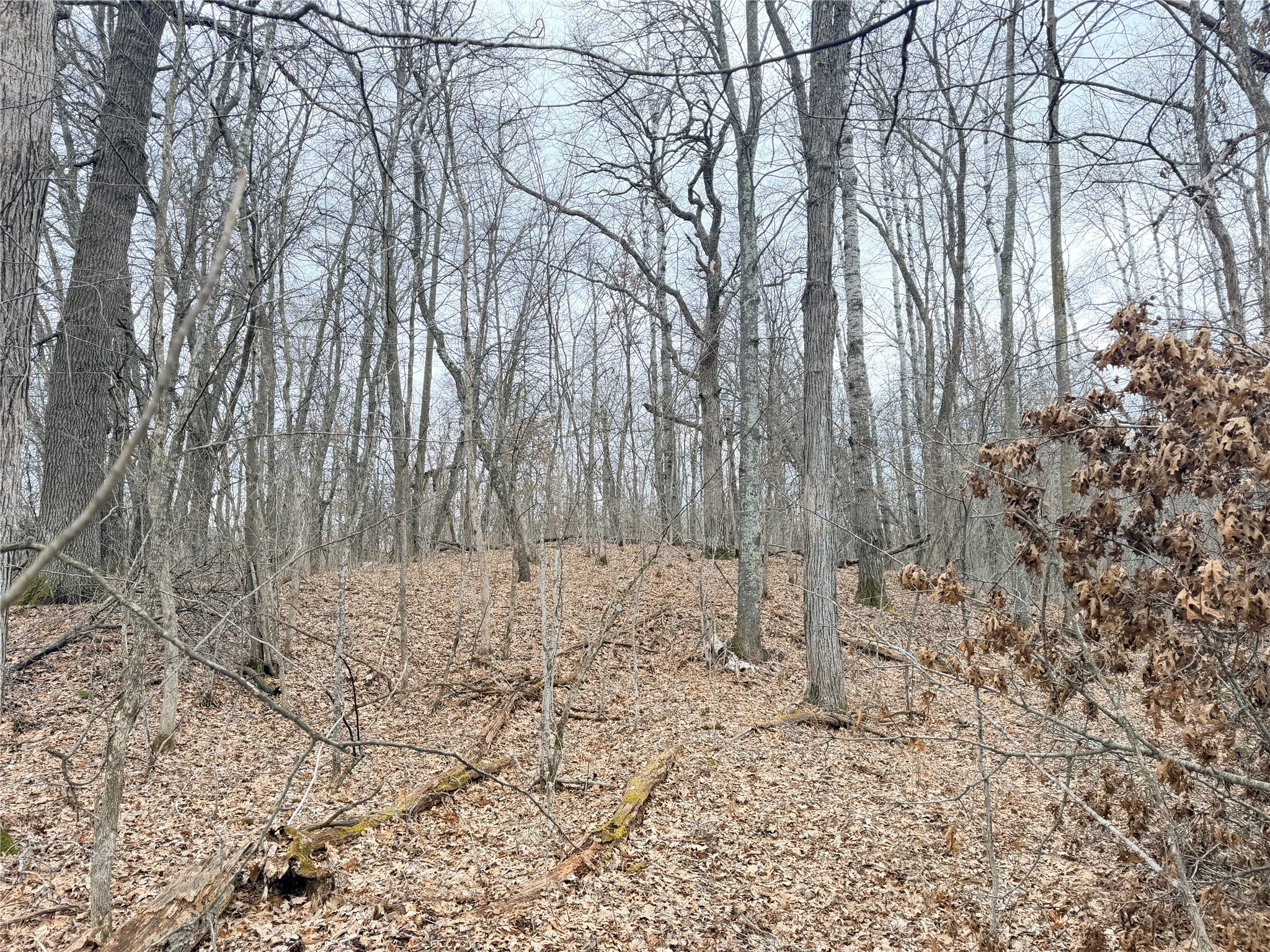 Lot 5 Big Lake Drive Osceola WI 54020 - 36-14 1599514 image18