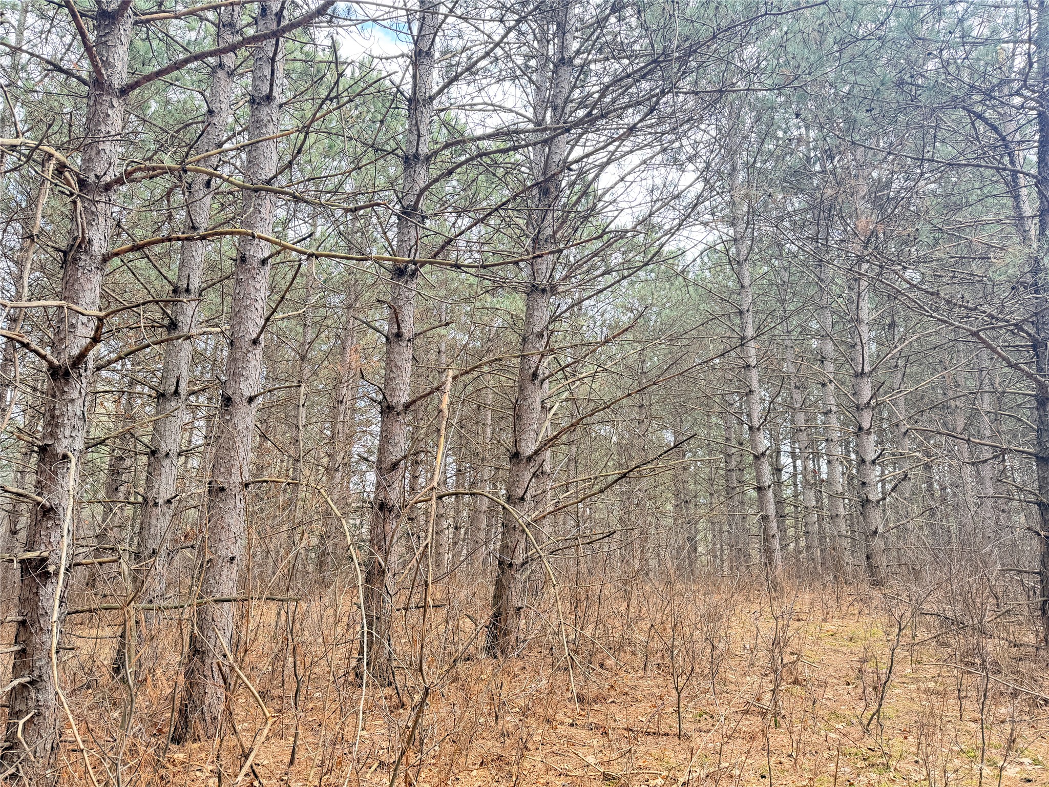 Lot 5 Big Lake Drive Osceola WI 54020 - 36-14 1599514 image19