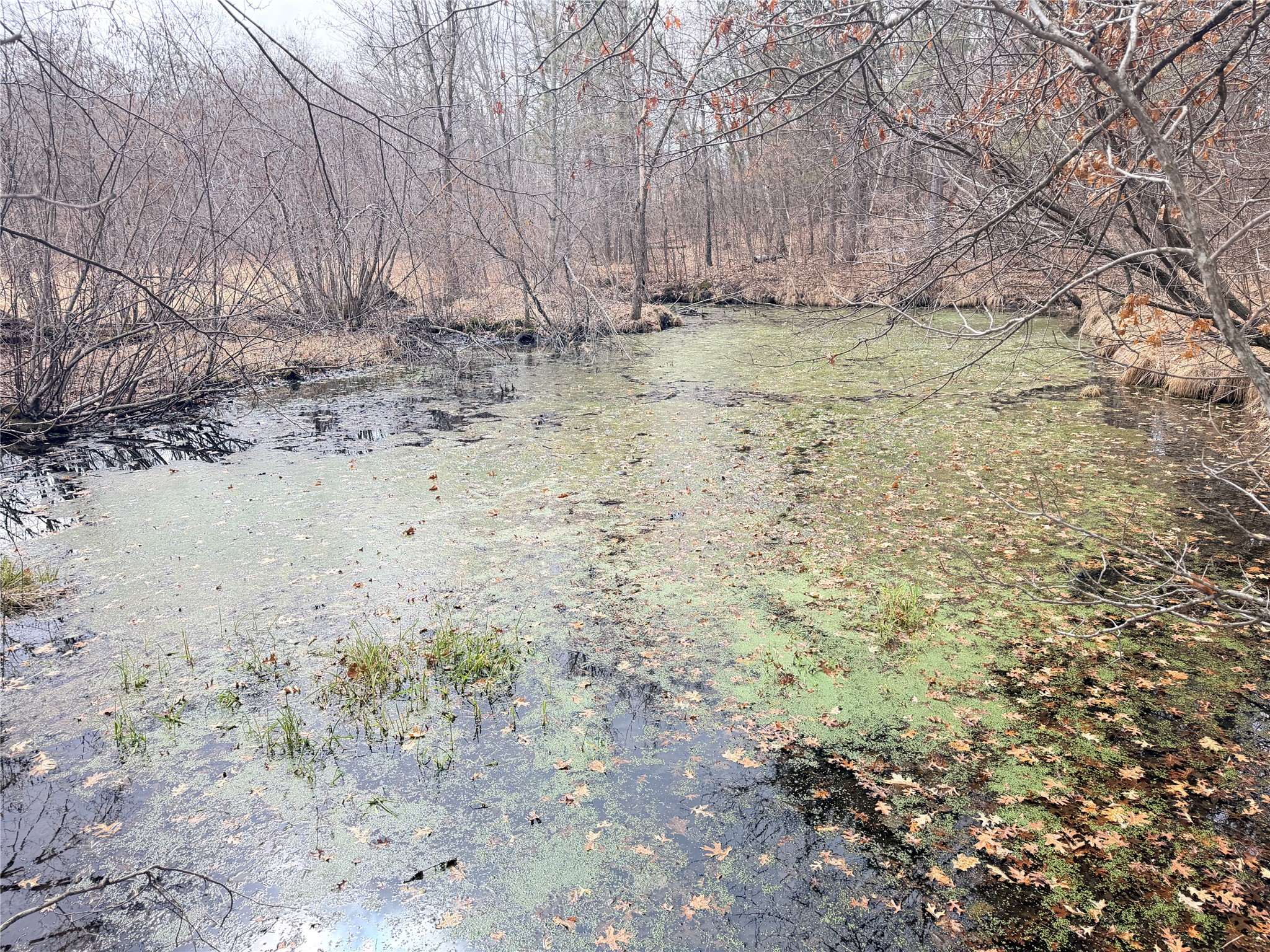 Lot 5 Big Lake Drive Osceola WI 54020 - 36-14 1599514 image20