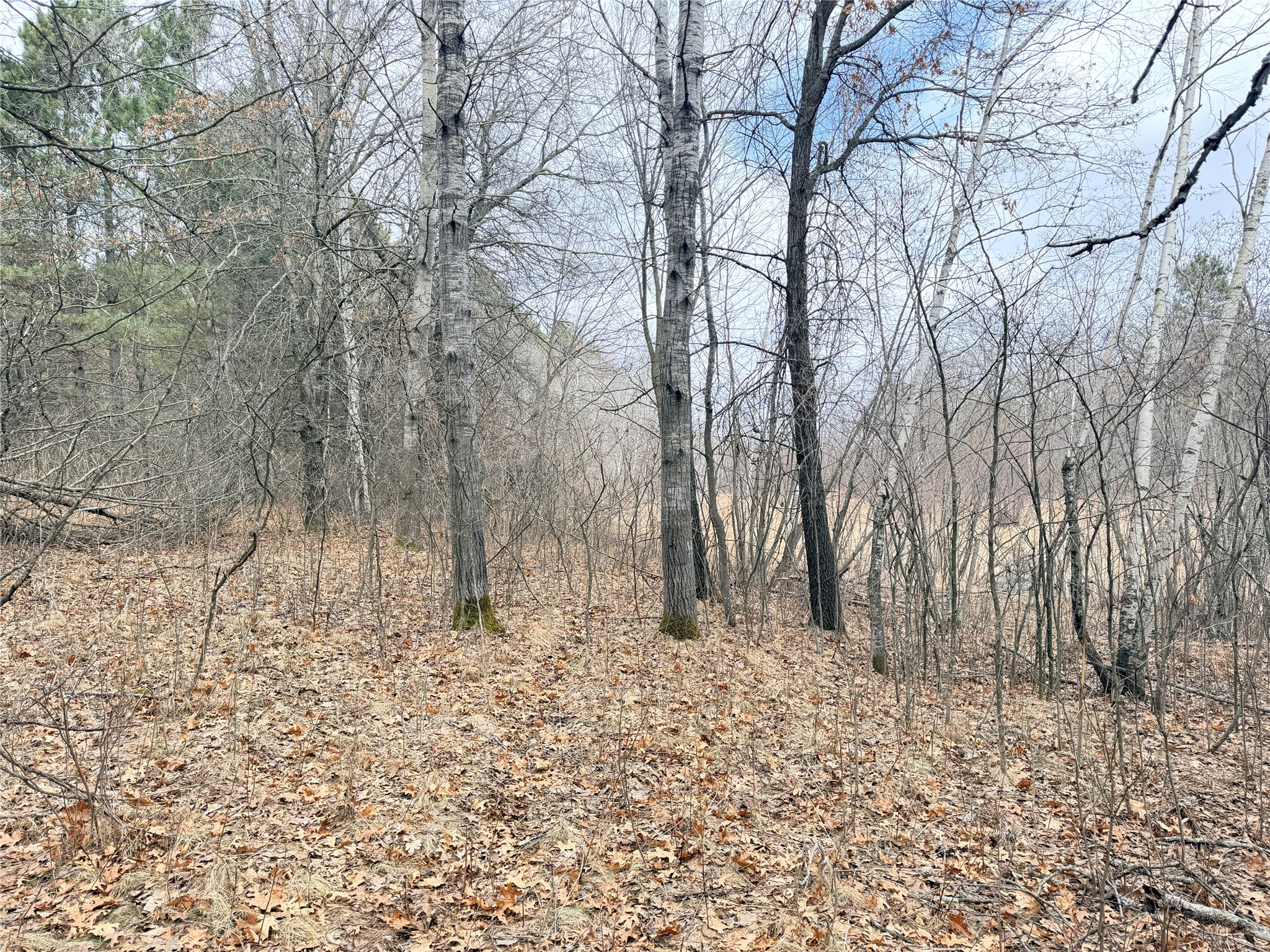 Lot 5 Big Lake Drive Osceola WI 54020 - 36-14 1599514 image21