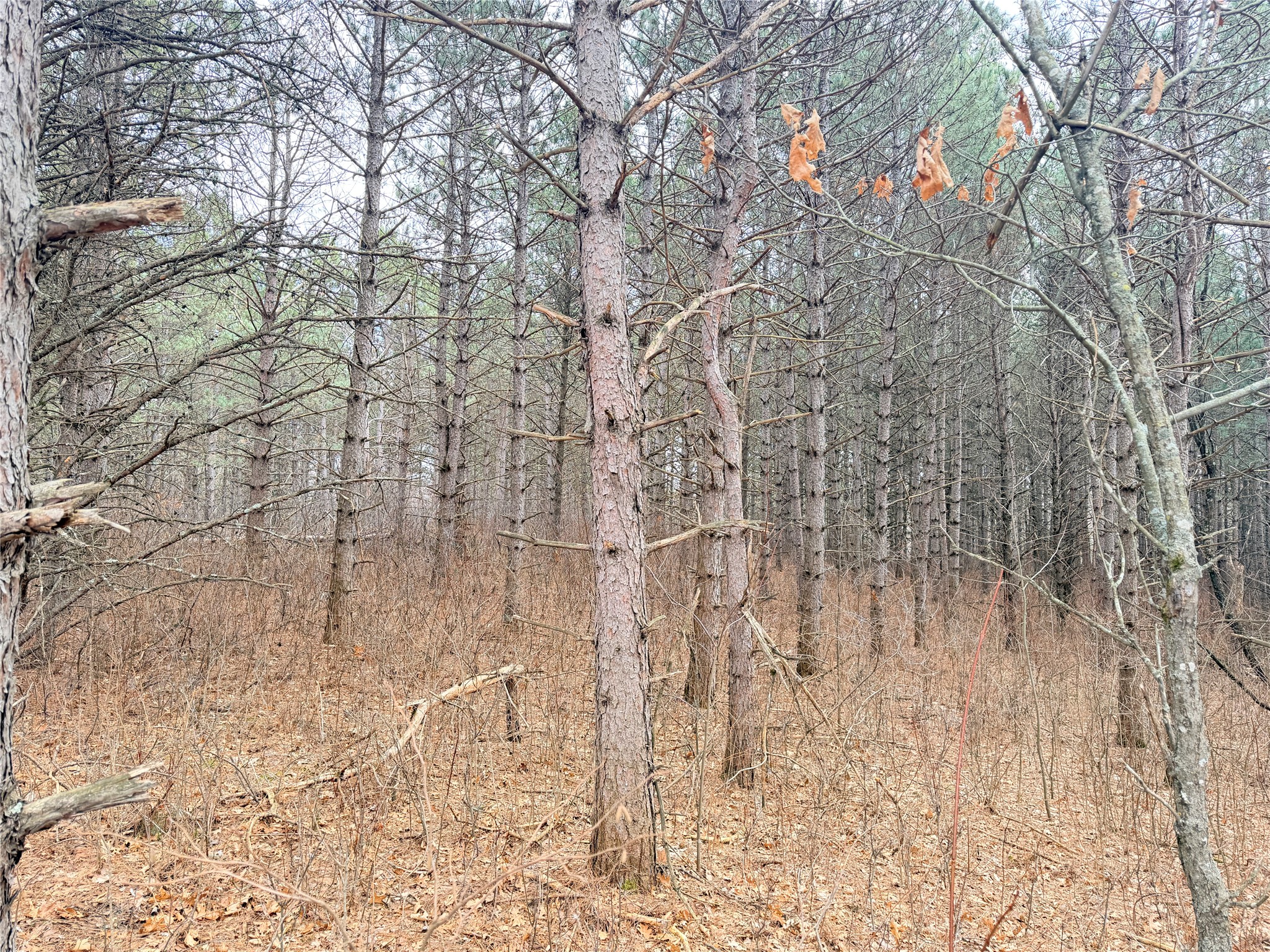 Lot 5 Big Lake Drive Osceola WI 54020 - 36-14 1599514 image22