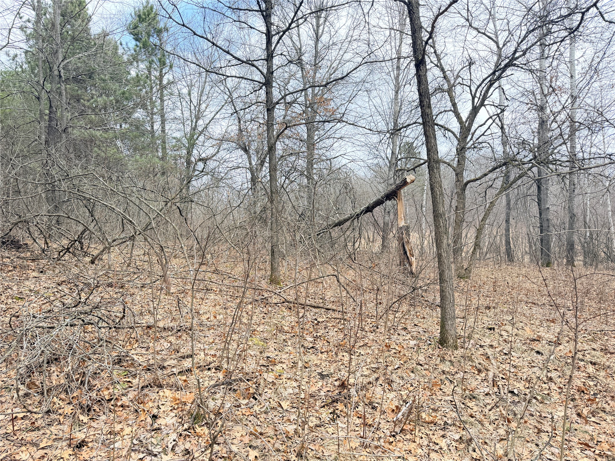 Lot 5 Big Lake Drive Osceola WI 54020 - 36-14 1599514 image23