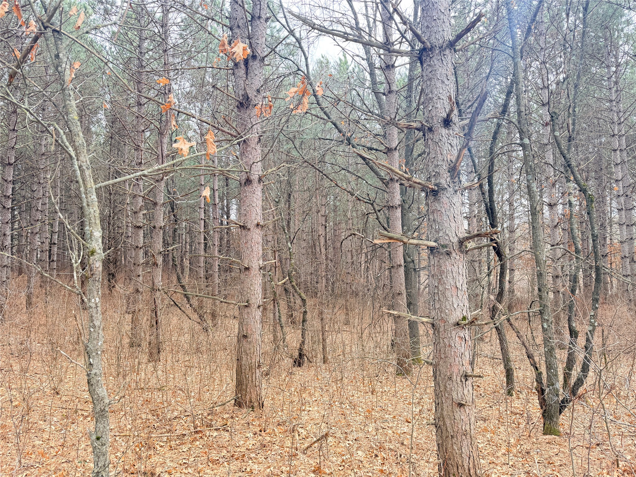 Lot 5 Big Lake Drive Osceola WI 54020 - 36-14 1599514 image24