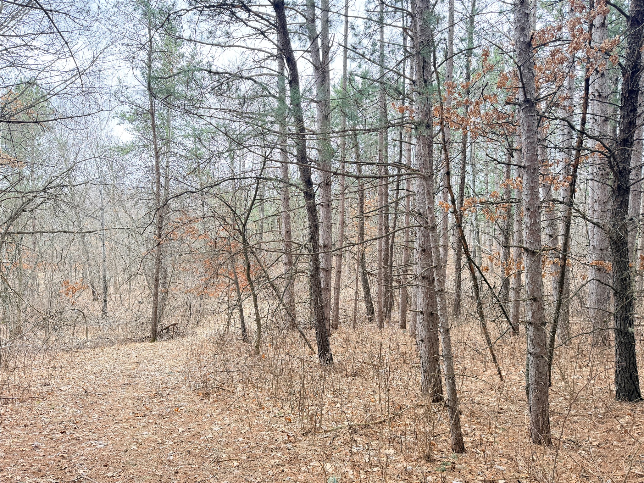 Lot 5 Big Lake Drive Osceola WI 54020 - 36-14 1599514 image25