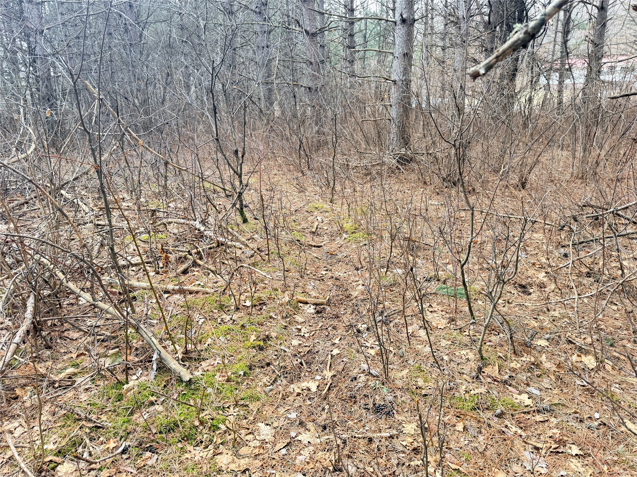 Lot 5 Big Lake Drive Osceola WI 54020 - 36-14 1599514 image26