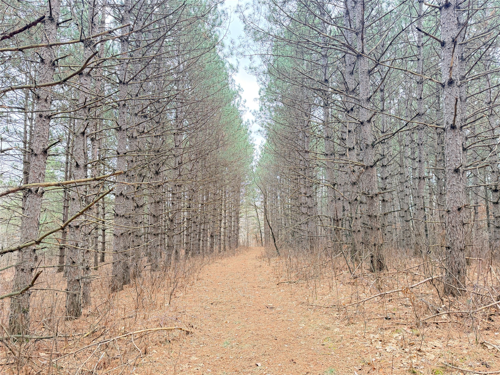 Lot 5 Big Lake Drive Osceola WI 54020 - 36-14 1599514 image3