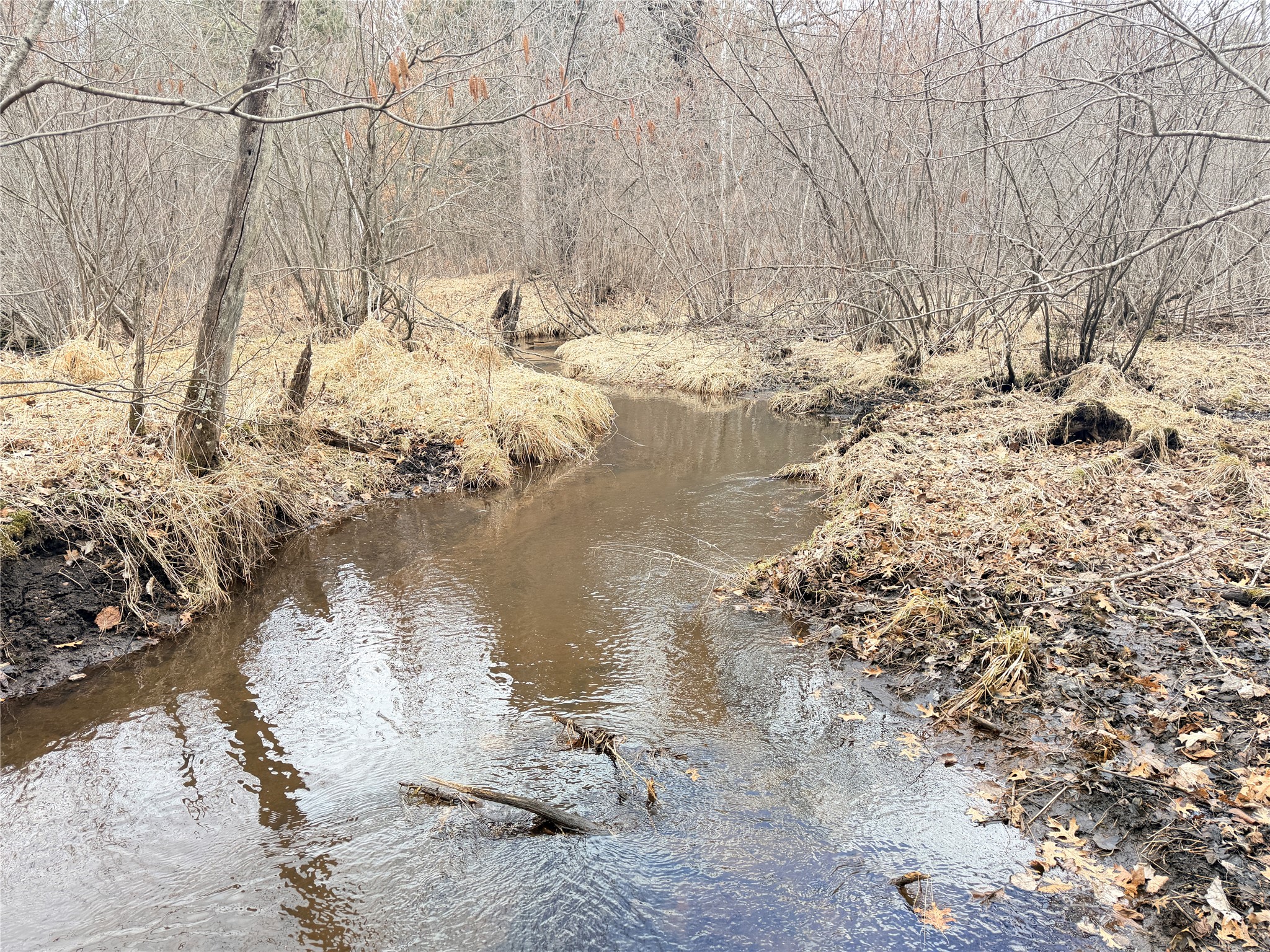 Lot 5 Big Lake Drive Osceola WI 54020 - 36-14 1599514 image4