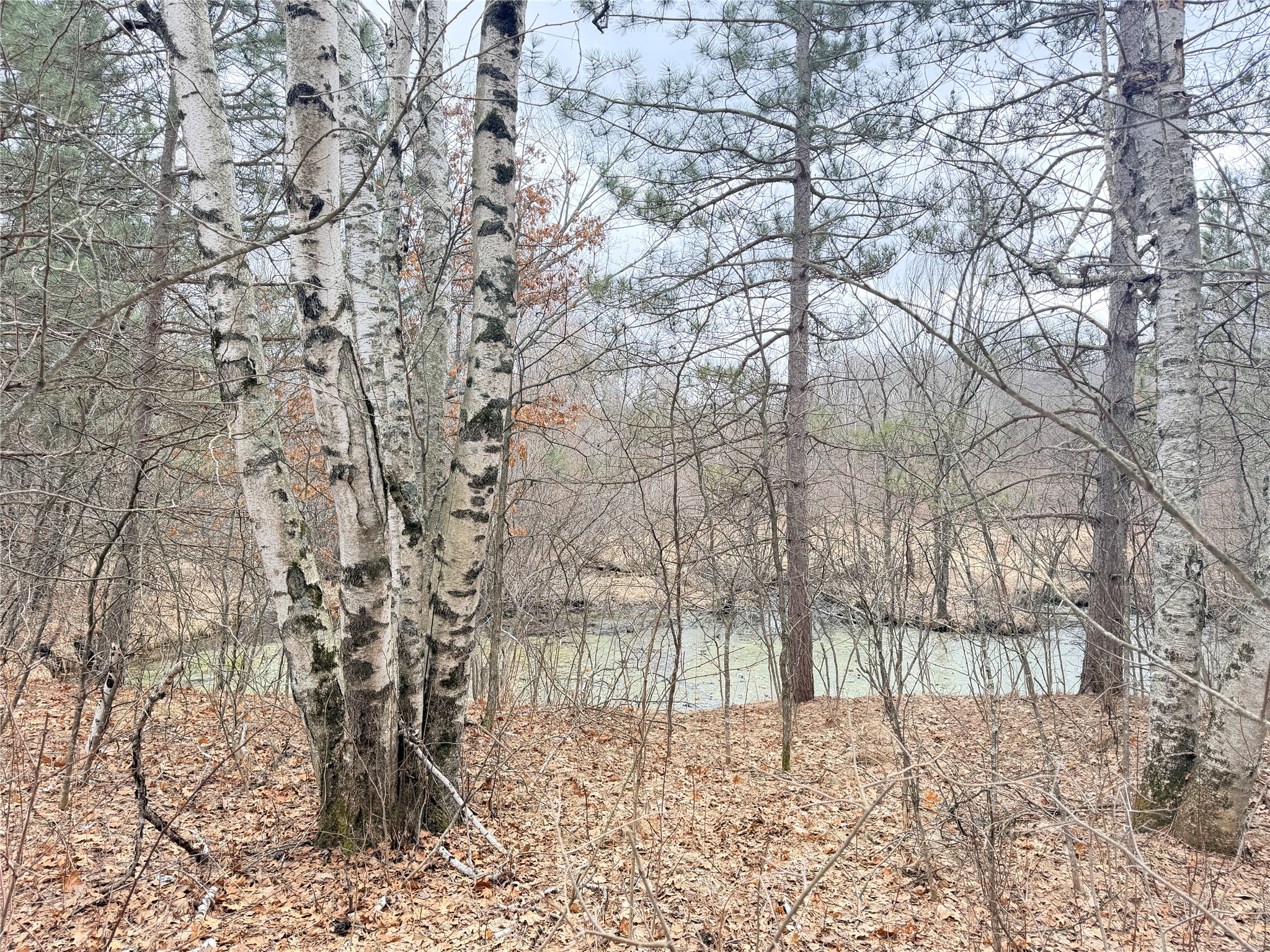 Lot 5 Big Lake Drive Osceola WI 54020 - 36-14 1599514 image8