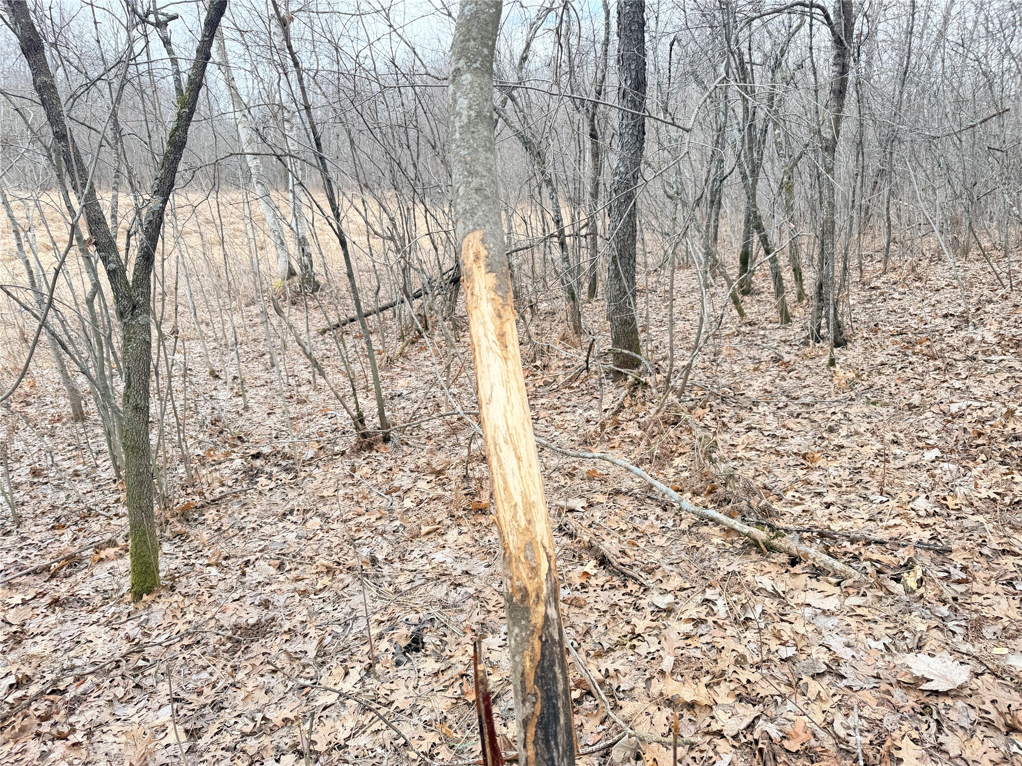 Lot 5 Big Lake Drive Osceola WI 54020 - 36-14 1599514 image9