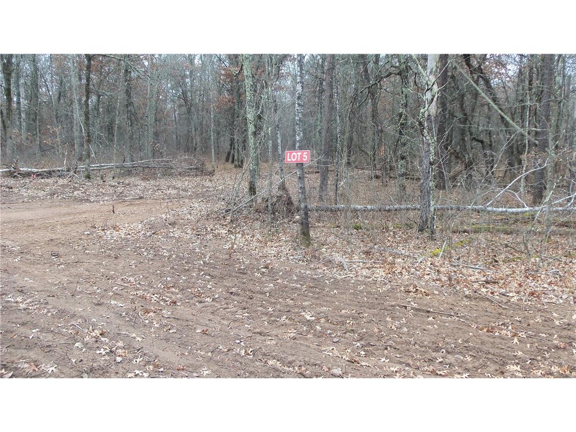 Lot 5 Canute Creek Trl Grantsburg WI 54840 1597671 image1