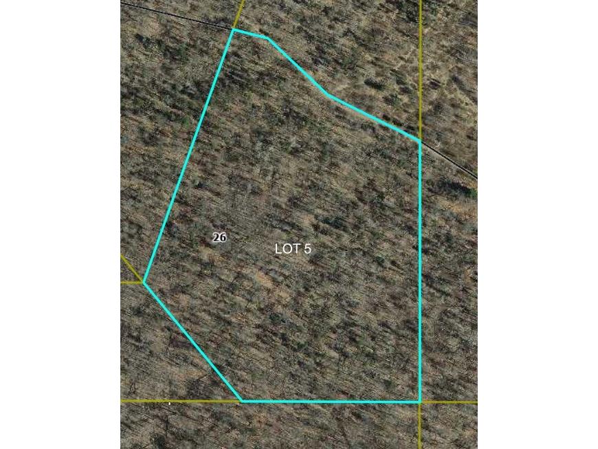 Lot 5 Canute Creek Trl Grantsburg WI 54840 1597671 image10