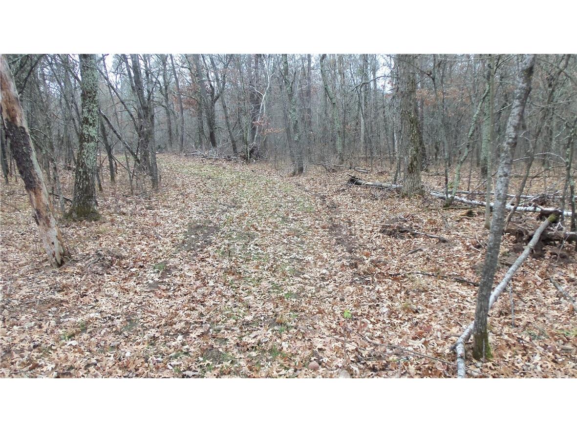 Lot 5 Canute Creek Trl Grantsburg WI 54840 1597671 image3