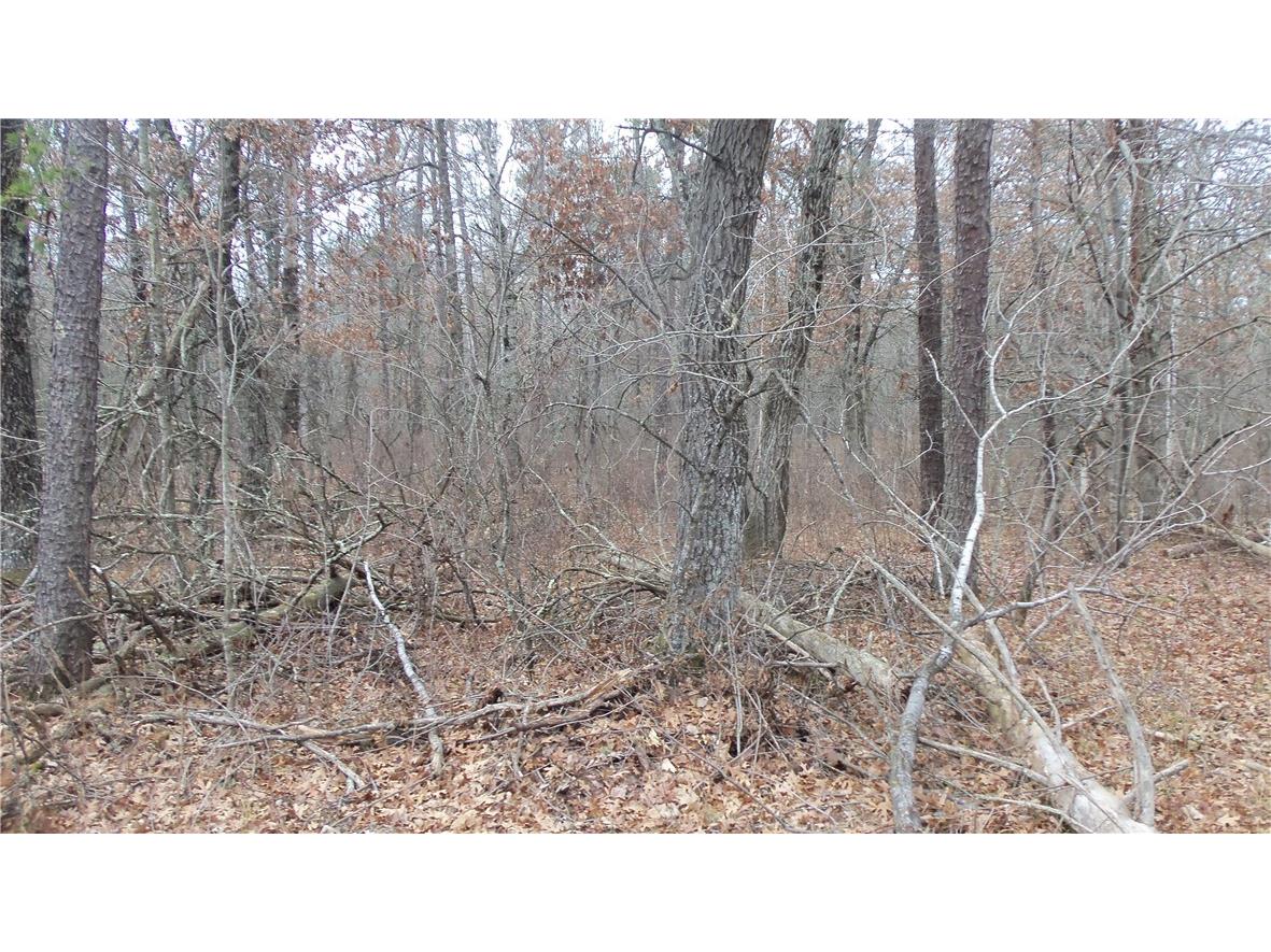 Lot 5 Canute Creek Trl Grantsburg WI 54840 1597671 image4